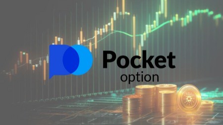 The Future of Trading with Pocket Option A Comprehensive Guide